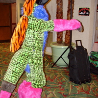 Conventions