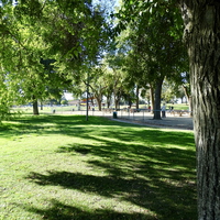 Groups